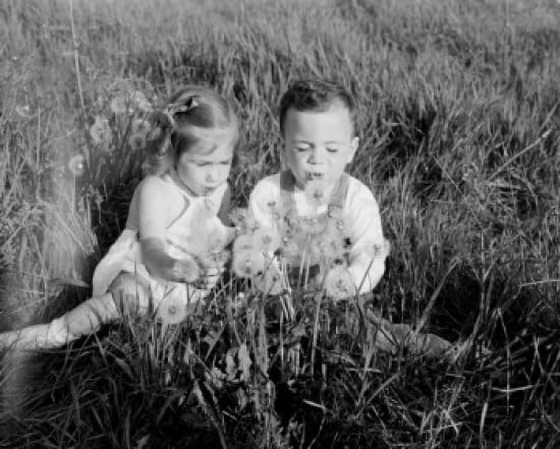 Girl and boy sitting on meadow blowing dandelions Canvas Art - (18 x 24)
