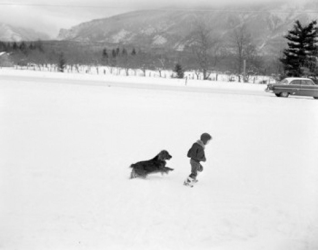 Girl and dog walking through snow Canvas Art - (18 x 24)