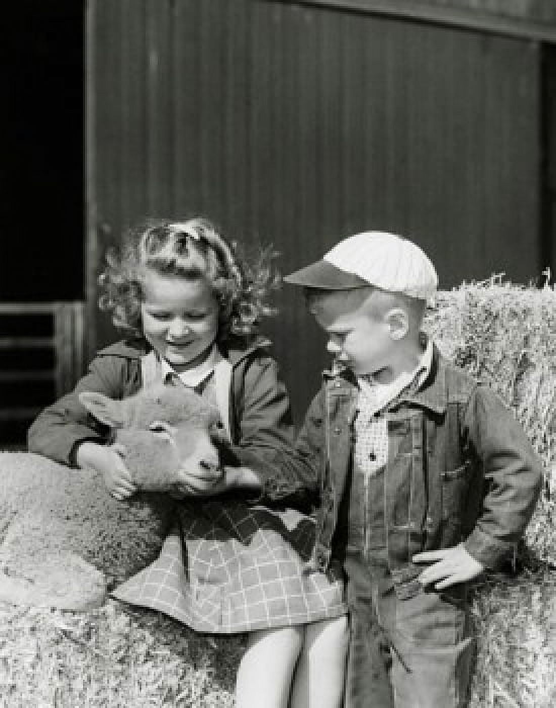 Girl and her brother looking at a lamb Canvas Art - (24 x 36)