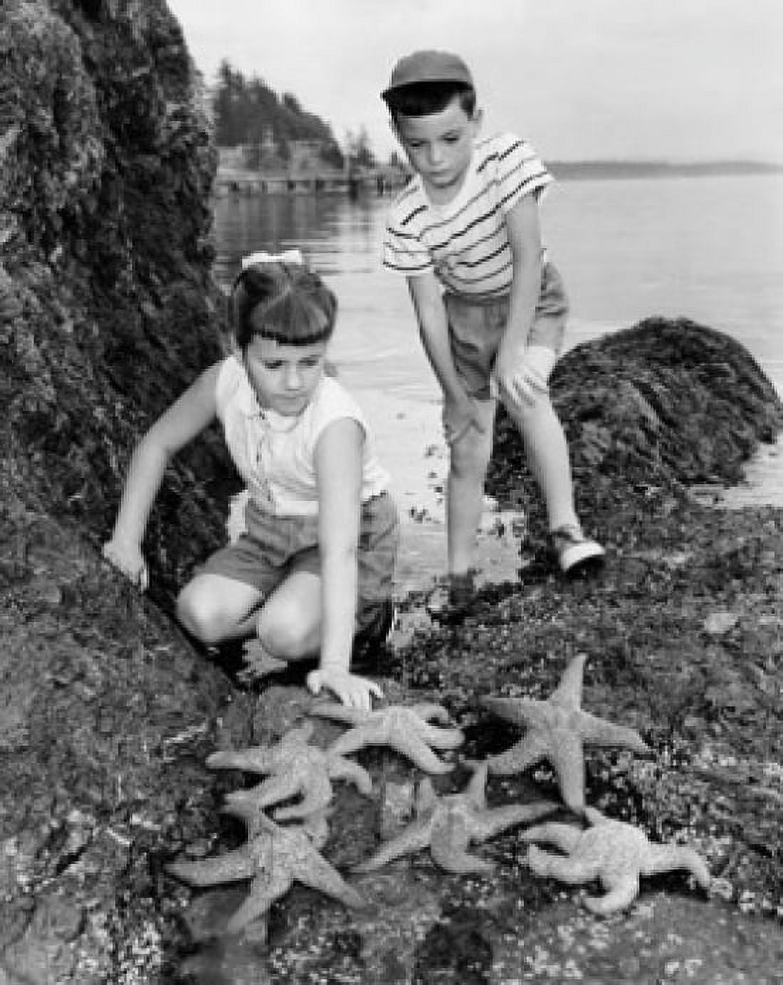 Girl and her brother looking at starfish on a rock Canvas Art - (24 x 36)