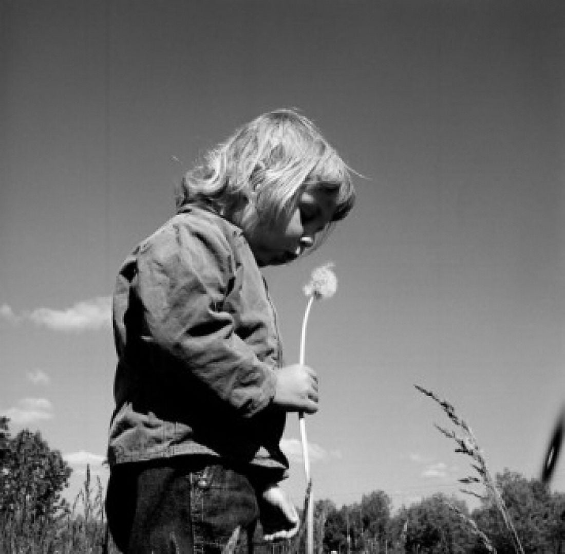 Girl blowing dandelion head Canvas Art - (24 x 36)