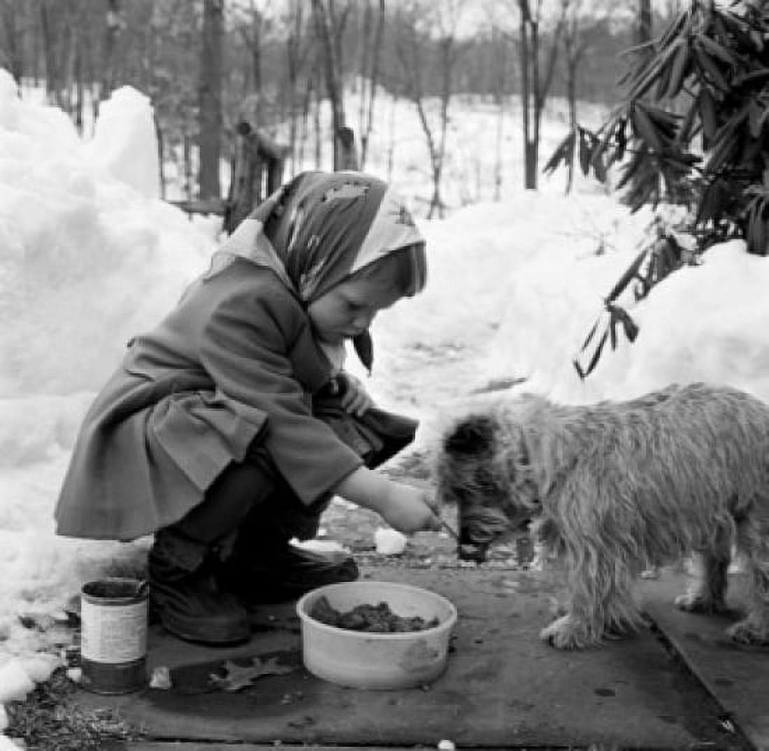 Girl feeding dog Canvas Art - (24 x 36)