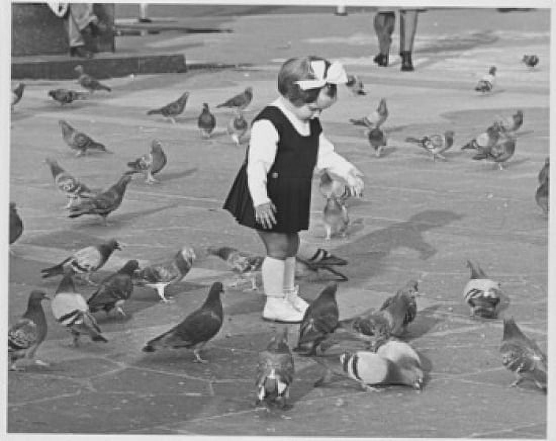 Girl feeding pigeons Canvas Art - (18 x 24)