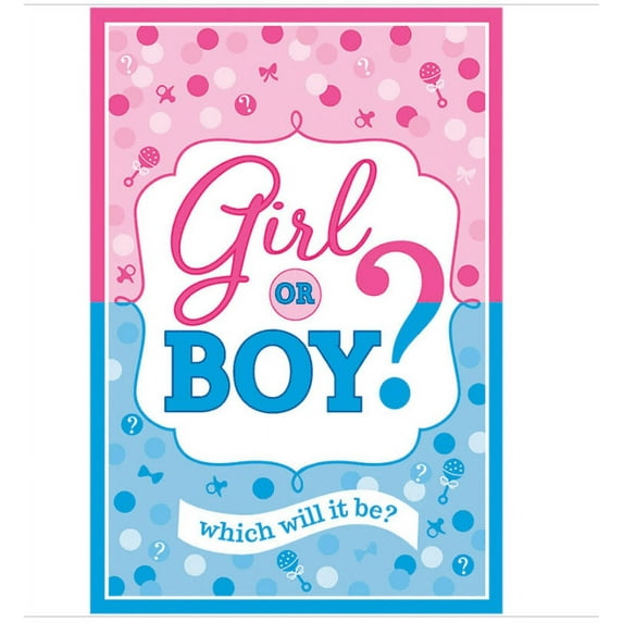 Girl or Boy? Baby Shower Invitations Blue and Pink Party Supplies 8 Count New