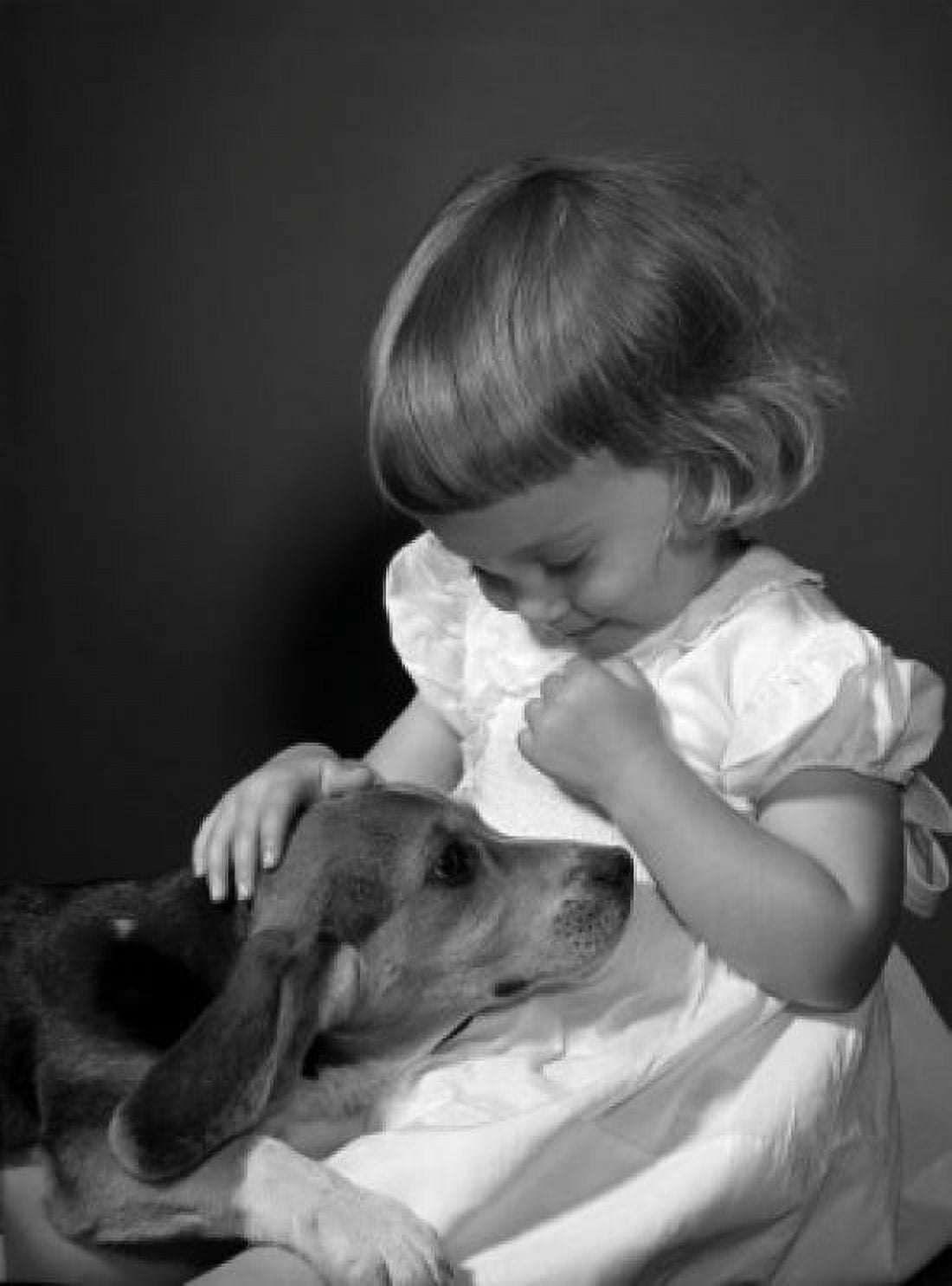 Girl playing with beagle puppy studio shot Canvas Art - (24 x 36)