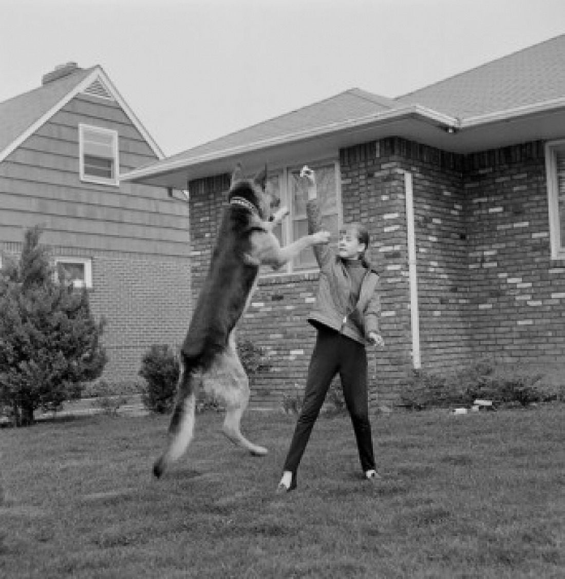Girl playing with dog in backyard Canvas Art - (18 x 24)