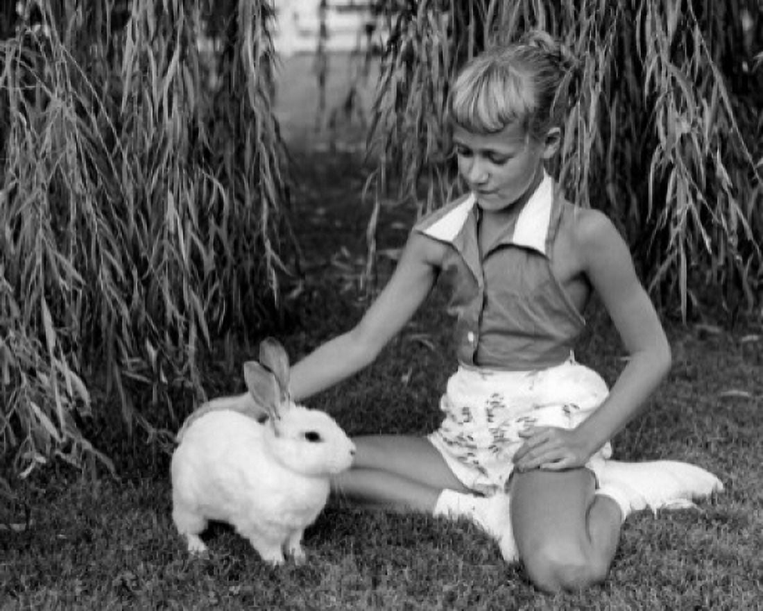 Girl playing with rabbit on lawn in garden Canvas Art - (24 x 36)
