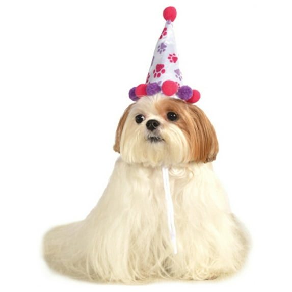 Girl's Birthday Hat Pet Costume