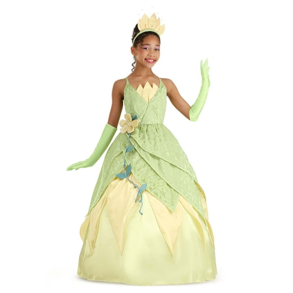 Girl's Disney Deluxe Princess and the Frog Tiana Costume
