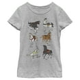 thumbnail image 1 of Girl's Disney Favorite Horse Characters  Graphic Tee Athletic Heather X Small, 1 of 5