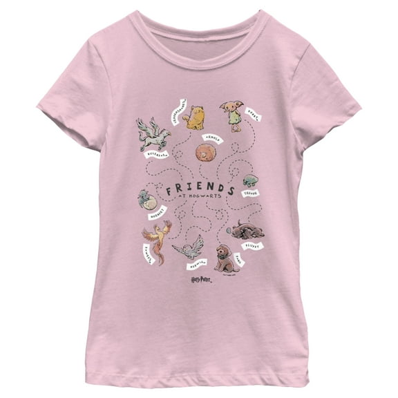 Girl's Harry Potter Animals and Pets from Hogwarts  Graphic Tee Light Pink X Large