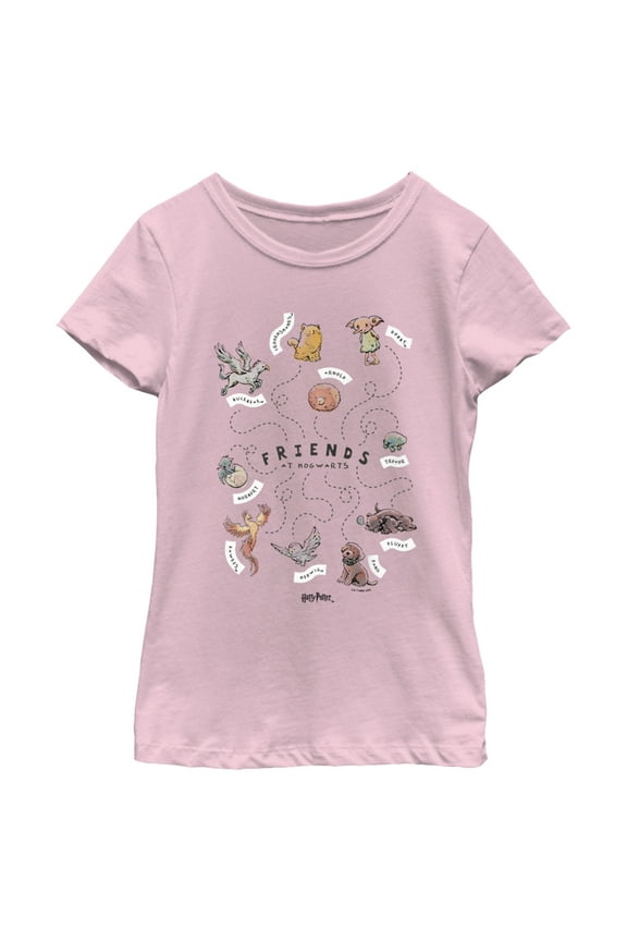 Girl's Harry Potter Animals and Pets from Hogwarts  Graphic Tee Light Pink X Large