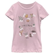 Girl's Harry Potter Animals and Pets from Hogwarts  Graphic Tee Light Pink X Small