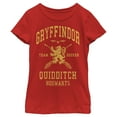 thumbnail image 1 of Girl's Harry Potter Gryffindor Quidditch Gold Team Seeker Graphic Tee Red Small, 1 of 5
