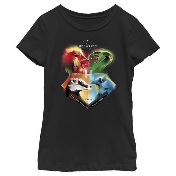 Girl's Harry Potter Hogwarts' Four Houses  Graphic Tee Black Small