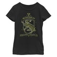 thumbnail image 1 of Girl's Harry Potter Hufflepuff Lined Mascot  Graphic T-Shirt, 1 of 4
