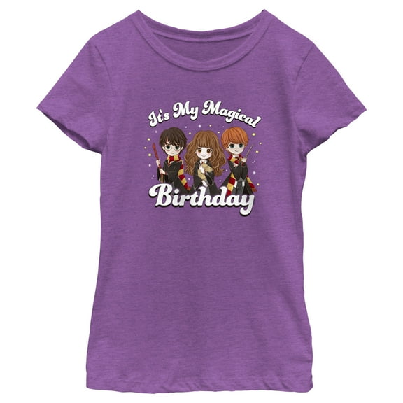 Girl's Harry Potter It’s My Magical Birthday Cute Characters  Graphic Tee Purple Berry X Small