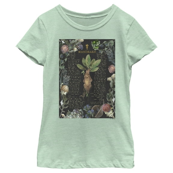 Girl's Harry Potter Mandrake Root Recipe Graphic Tee Mint Medium