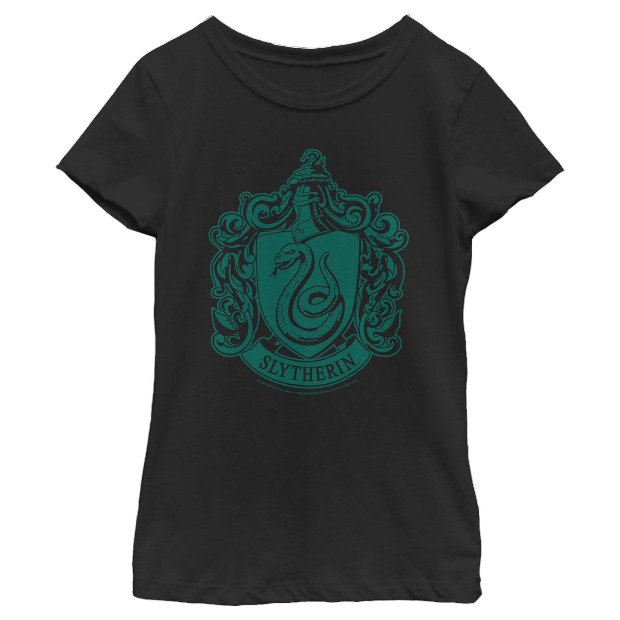 What makes you a Slytherin  Slytherin Gifts from House of Spells