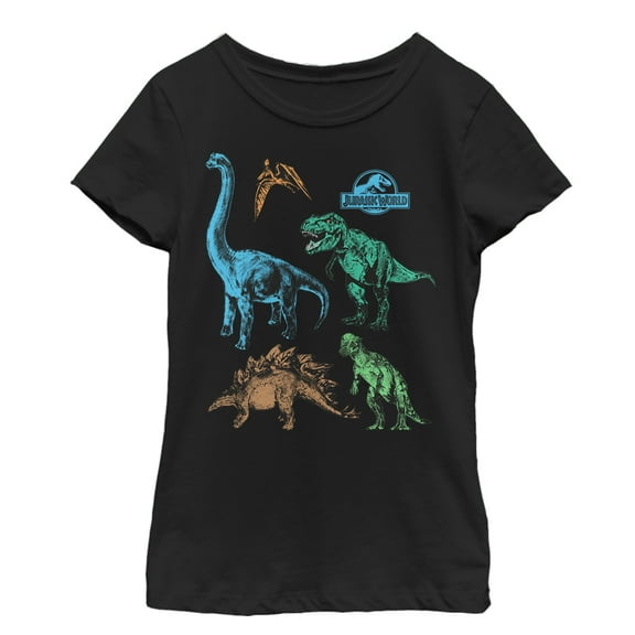 Girl's Jurassic World Dinosaur Party Graphic Tee Black Small