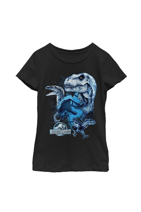 Girl's Jurassic World: Fallen Kingdom Dinosaur Frost Graphic Tee Black Medium