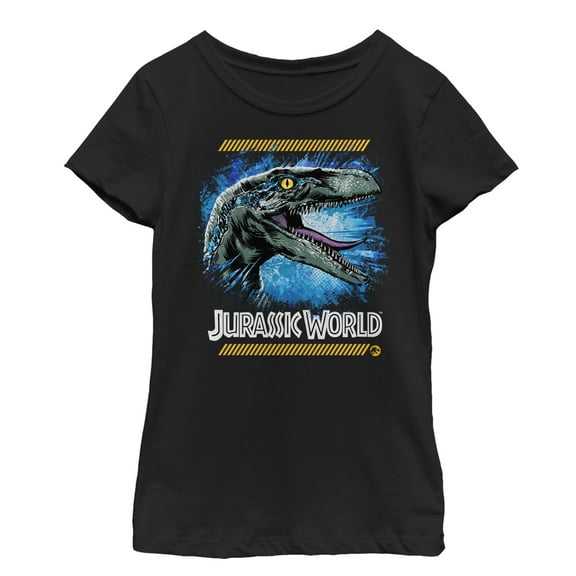 Girl's Jurassic World: Fallen Kingdom Raptor Code  Graphic Tee Black X Small