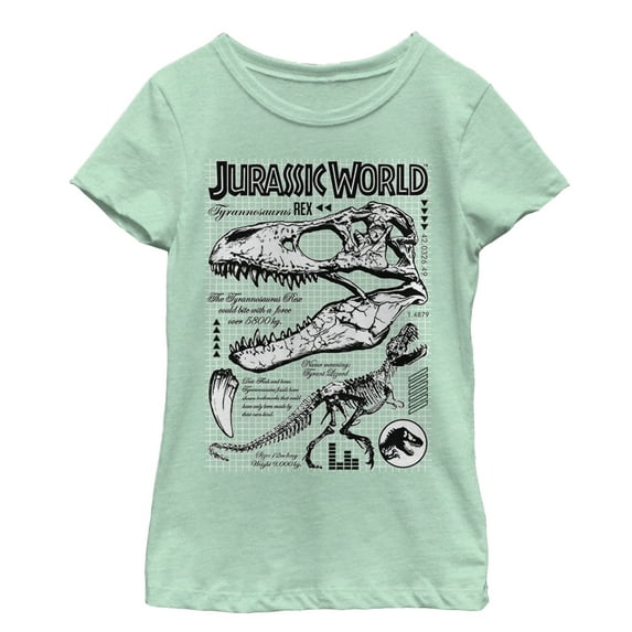 Girl's Jurassic World: Fallen Kingdom T. Rex Details Graphic Tee Mint Large