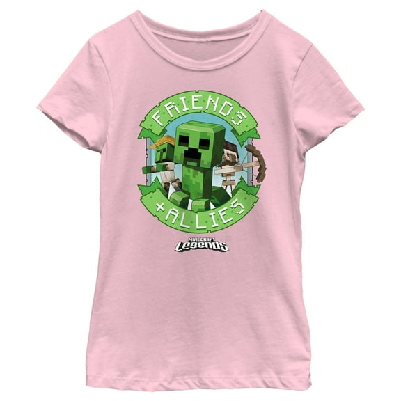 Girl's Minecraft Legends Friends and Allies Banner Graphic Tee Light Pink Small