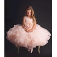 thumbnail image 1 of Girl's Princess Flower Dress, 1 of 10