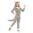 thumbnail image 1 of Girl's Snow Leopard Costume, 1 of 3