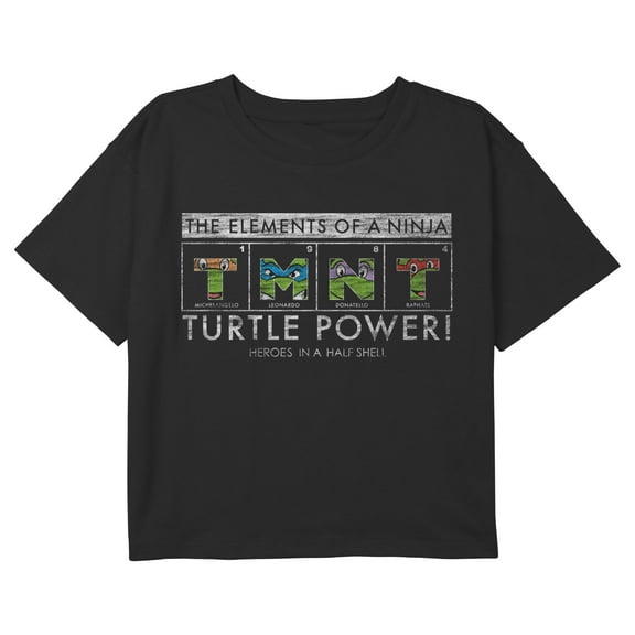 Girl's Teenage Mutant Ninja Turtles Distressed Elements of a Ninja Graphic Cropped T-Shirt Black Medium