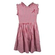sachin and babi light blue dress Red And Black Casual Outfits For Women main image 1