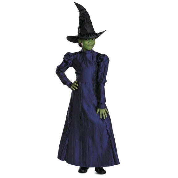 Toddler Deluxe Wicked Elphaba Purple Dress Costume - 3T-4T