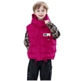thumbnail image 1 of Girl's and Boy's Winter Hooded Warm Vest Outerwear Soft Flannel Lined Insulation Waistcoat with Pockets, 1 of 6
