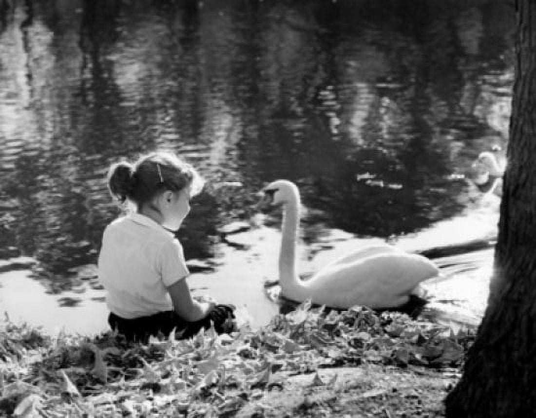 Girl sitting on lakeshore looking at swan Canvas Art - (18 x 24)