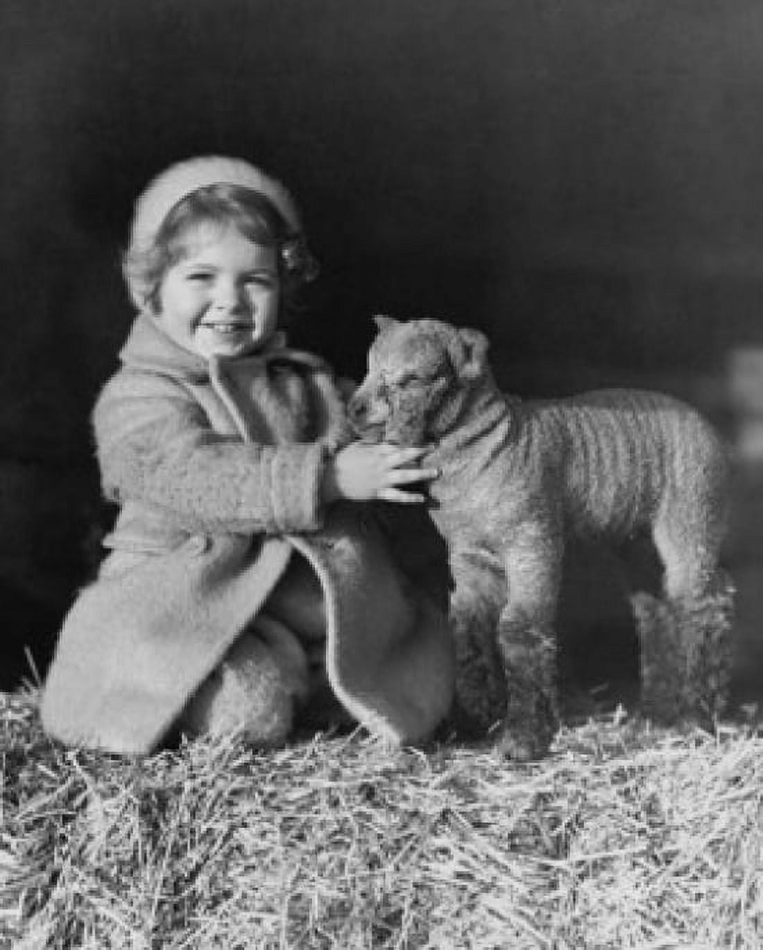 Girl smiling and stroking a lamb Canvas Art - (18 x 24)