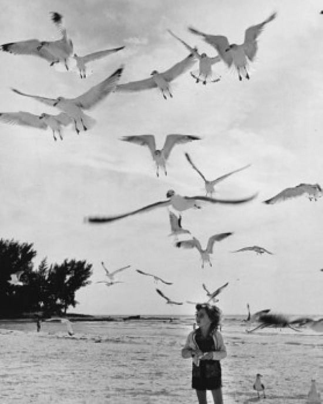 Girl standing on the beach and feeding birds Canvas Art - (24 x 36)