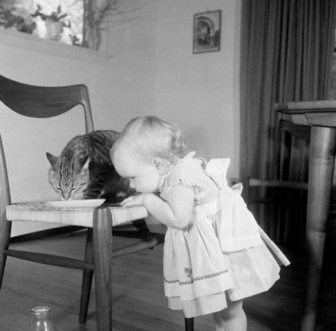 Girl watching cat drinking milk Canvas Art - (24 x 36)