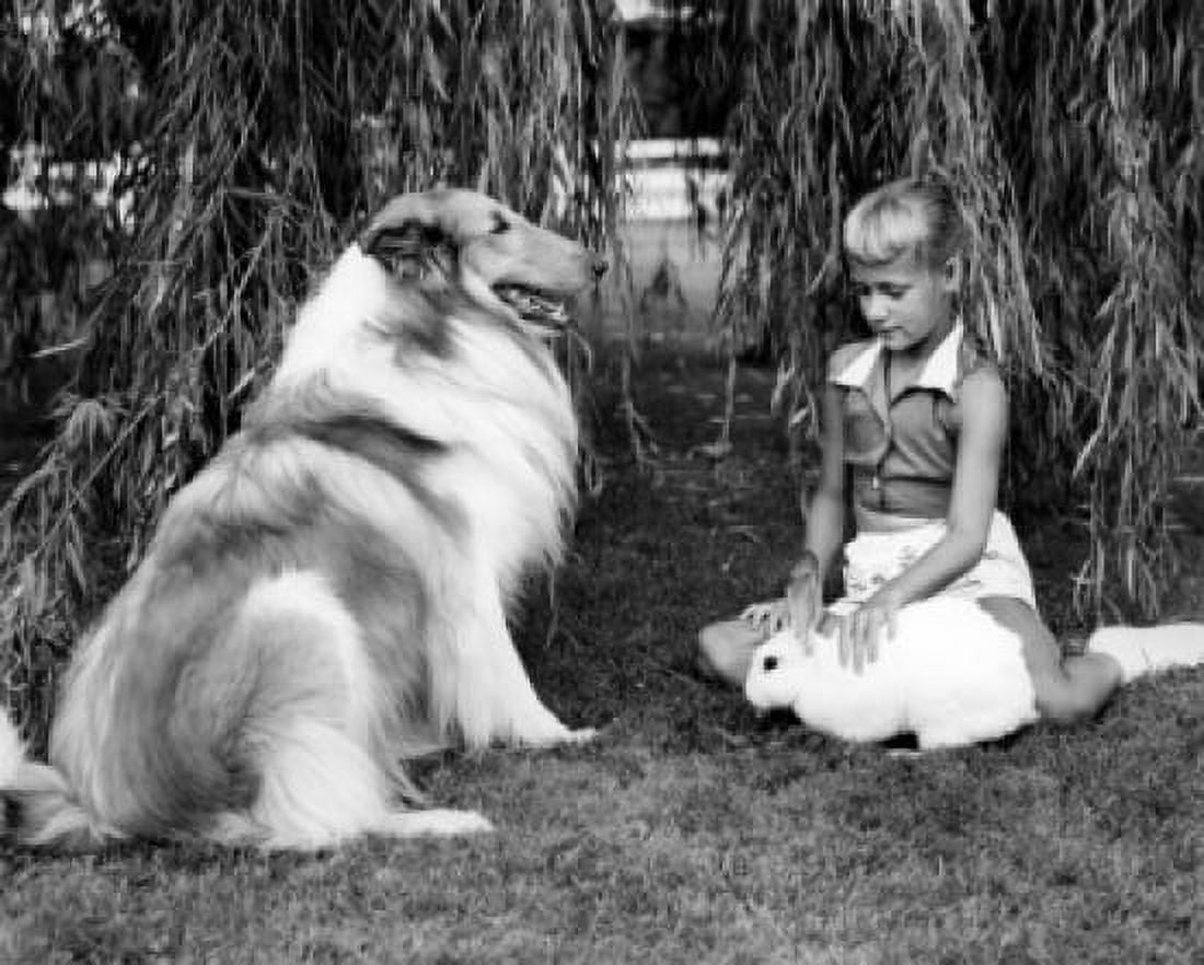 Girl with rabbit and dog on lawn in garden Canvas Art - (18 x 24)