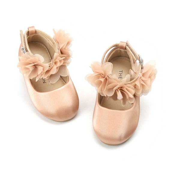 Girls Ballet Mary Jane Flats Toddler Kids Flower Girls Party Dress Shoes(AG244 Rose/9M)