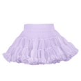 thumbnail image 1 of Girls Ballet Tutu Skirts with Lining Skirt Nylon Dance Elastic Short Mini Skirt 2 Layers Dance Tutu Dress, 1 of 7