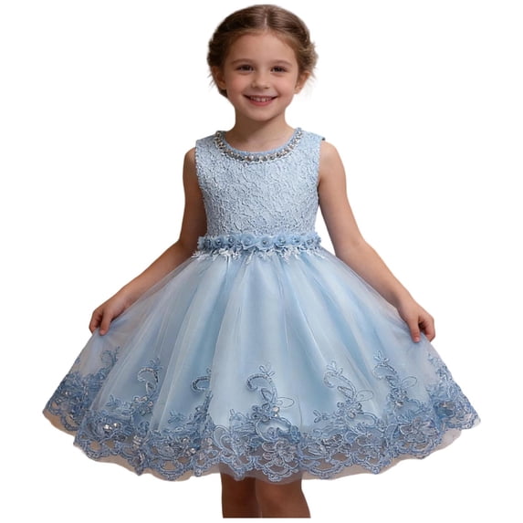 Girls Blue Lace Tulle Princess Dress Sleeveless A-Line Formal Flower Girl Birthday Party Dress for Kids 3-12 Years,Size 11-12 T