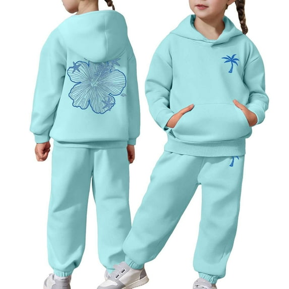 Girls Boys Outfits Set Long Sleeve Long Sleeve Sweatshirt Sweat Suit Graphic Hoody Kids Cute Pullovers Top Clothes For Girls Sky Blue 2-3 Years