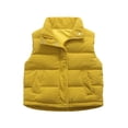 thumbnail image 1 of Girls Boys Puffer Vest Solid Color Stand Collar Sleeveless Jacket Kids Fall Lightweight Winter Warm Outwear With Pocket 1-12 Years, 1 of 5