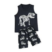 ASFGIMUJ Girls Boys Toddler Vest+Shorts Dinosaur Summer Outfit Kids Baby Clothes Set Boys Outfits&Set, Size 2 Years-3 Years