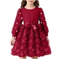 thumbnail image 1 of Girls Burgundy Long Sleeve Party Dress with 3D Roses, Princess Christmas Dress for Girls with Satin Bow, Fluffy Holiday Pageant Dress,Size 5-6 T, 1 of 9