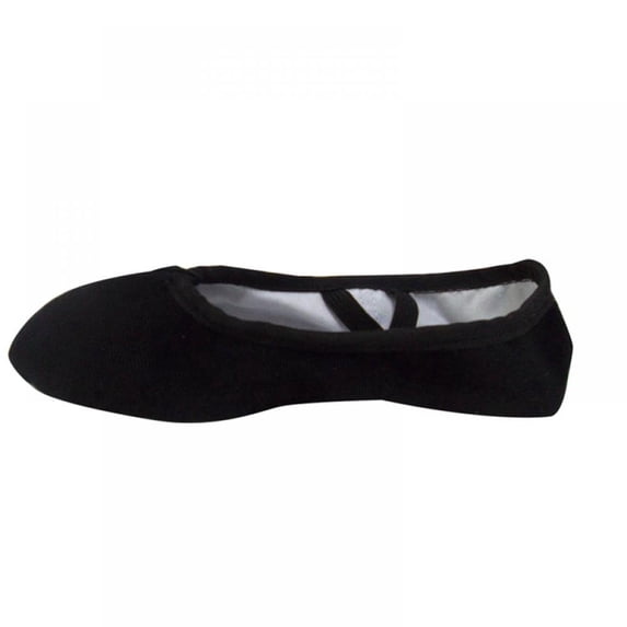 Women's Ballet Shoes Stretch Canvas Dance Slippers Split Sole for Girls/Adult