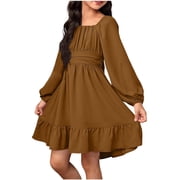 knee length dresses for ladies Tiff Floral Mini Dress, Brown L / Brown
