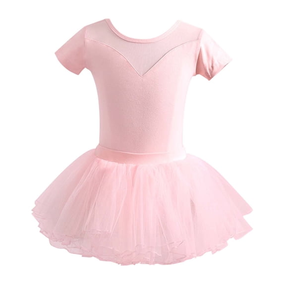 Girls Ballet Performance Tutu Dress Set Short Sleeve Leotard Skirt Outfit for Dance Jazz Recital Practice Toddler Kids Ages 1-14 Years