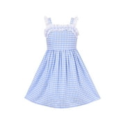 Blue White Checkered Dress